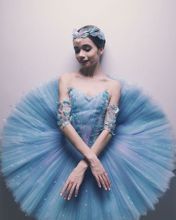 Ballet Series-Harlequin's Millions