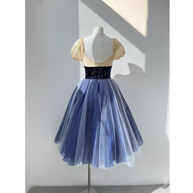 Professional Royal Blue Giselle Ballet Dress Peasant Variation Ballet Dresses