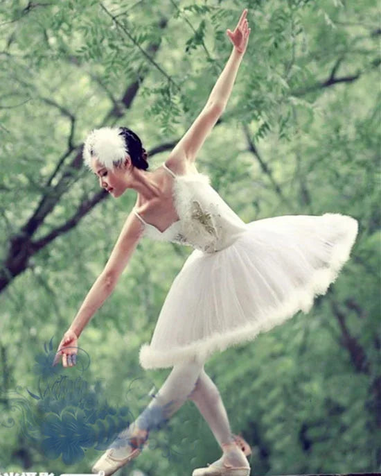 Hard Tulle Dress Costume Performance Dress Tutu Dresses For Girls,Adult or Children Hard Organdy Platter Skirt Ballet Tutu