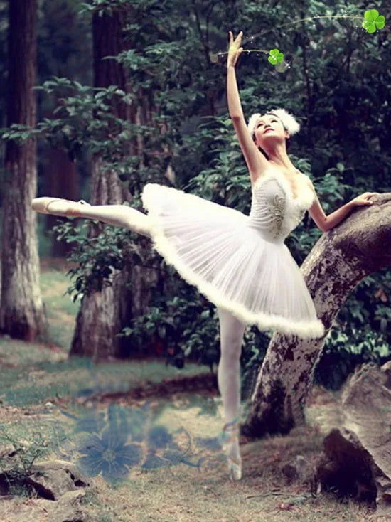 Hard Tulle Dress Costume Performance Dress Tutu Dresses For Girls,Adult or Children Hard Organdy Platter Skirt Ballet Tutu