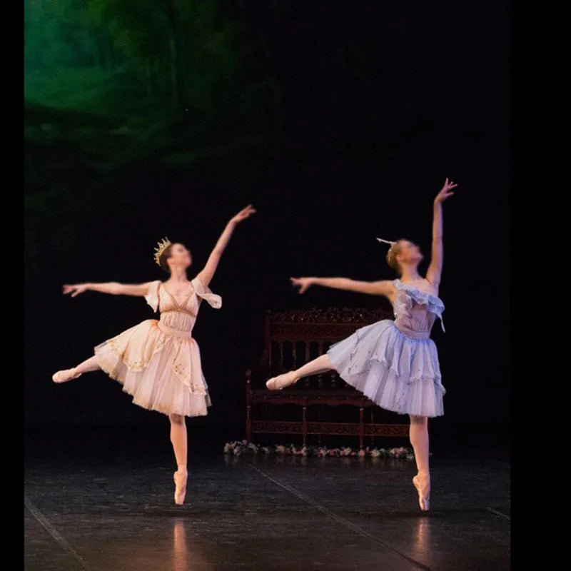 Professional Moon Dress For Ballet Dance,The Moon Goddess Variation Ballet Costumes Custom Made Drop Ship