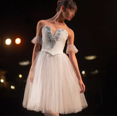 Professional Two Parts White Ballet Dress With Silver Snow Decoration For Competition,Snow White Princess Queen Ballet Costume