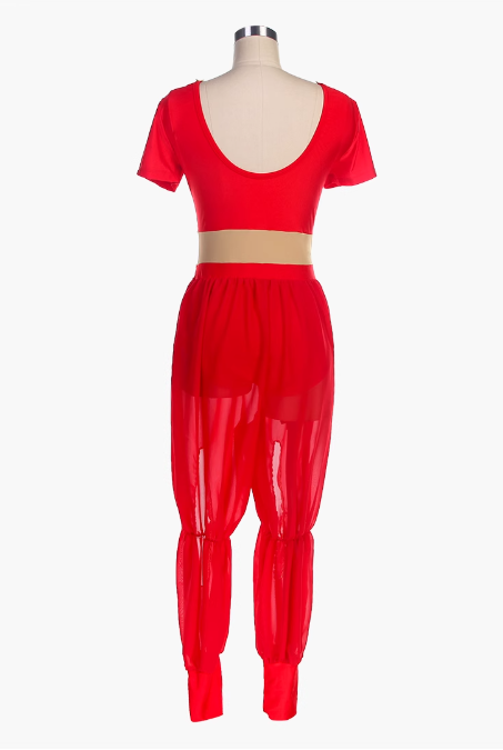 Red Or Purple Or Blue Arabian Ballet Costumes,Short Sleeves Top And Chiffon Pants Latin Arabic Dance Clothes For Performance