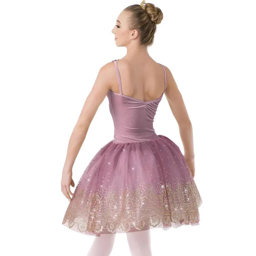 Professional Girl And Women Light Purple Ballet Dance Long Dresses, Velvet Tops And Hot Stamping Embroidered Lace Skirt