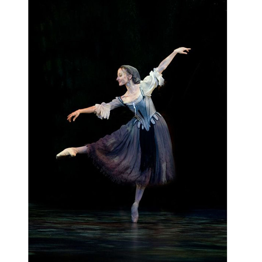 Professional Cinderella Ballet Costume Custom Made,The Iconic Peasant Gown with Grey Brown Tulle Skirt