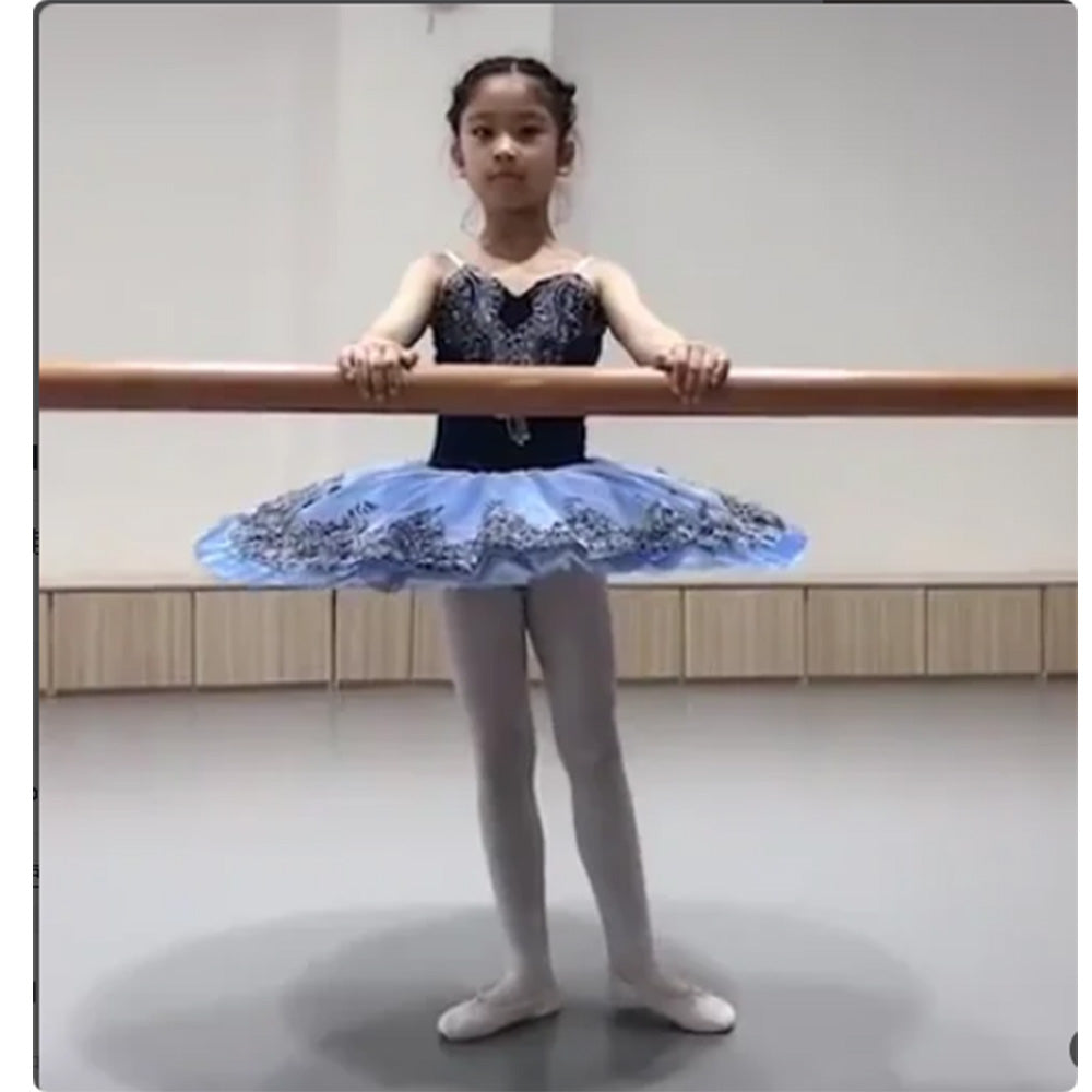 Girl Royal Blue Ballet Dance Tutus Balet Costume Blue Bird Ballet Dres Heporen Garment Girl Royal Blue Ballet Dance Tutus Balet Costume Blue Bird Ballet Dres Heporen Garment