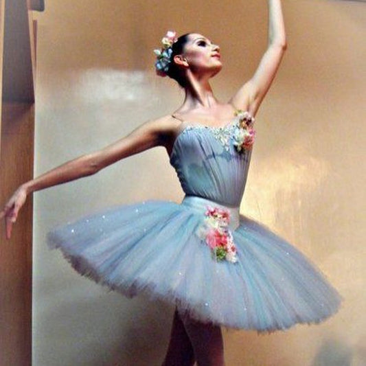 The classify common ballet dance performances