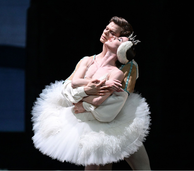 What is the difference in costumes between a princess and a witch in Swan Lake?