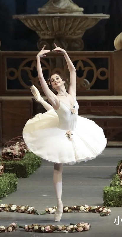 Woman Ballet Tutu Dress