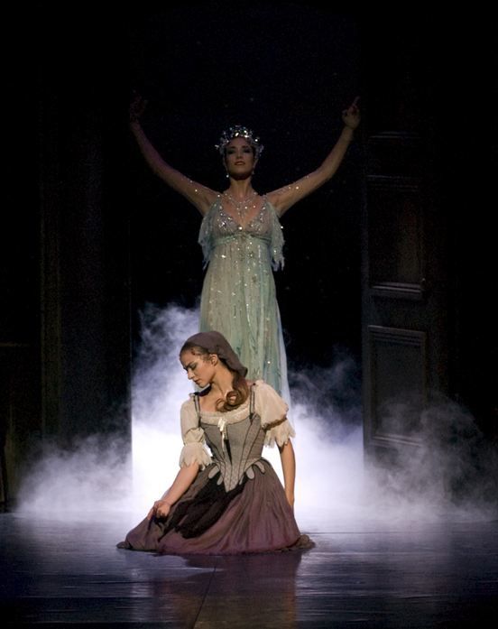 Professional Cinderella Ballet Costume Custom Made,The Iconic Peasant Gown with Grey Brown Tulle Skirt