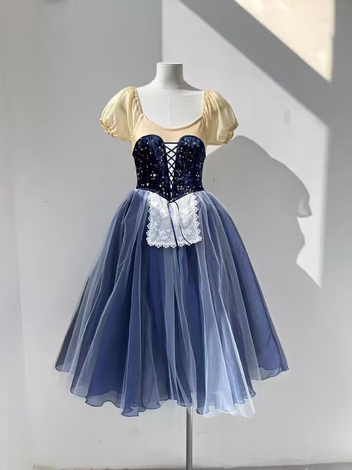 Professional Royal Blue Giselle Ballet Dress Peasant Variation Ballet Dresses