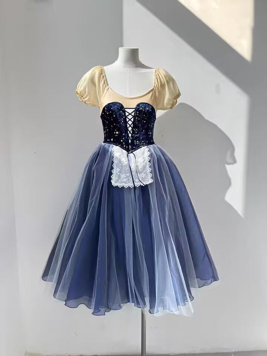 Professional Royal Blue Giselle Ballet Dress Peasant Variation Ballet Dresses