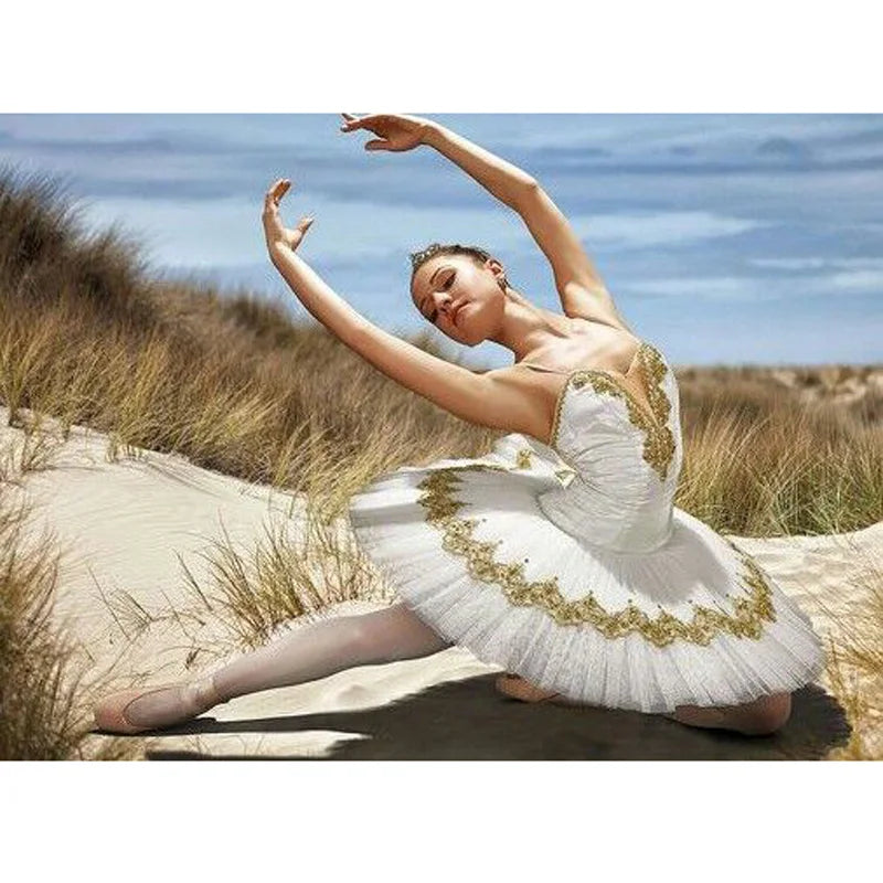 Customized White Swan Ballet Tutu Dresses,Stunning White & Gold Prefessional Stage Costume Ballet Tutu Competition