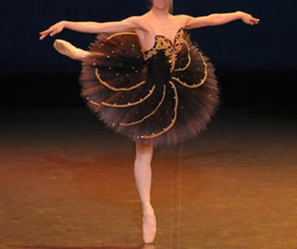 High Quality Customized Black Swan Costume Black Bird Ballet Dress,Stage Show Adult Deluxe Sequin Ballerina Dance Wears