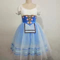 Advanced Custom Paris Flame Variation Ballet Dress Blue White Red Long Gauze Skirt