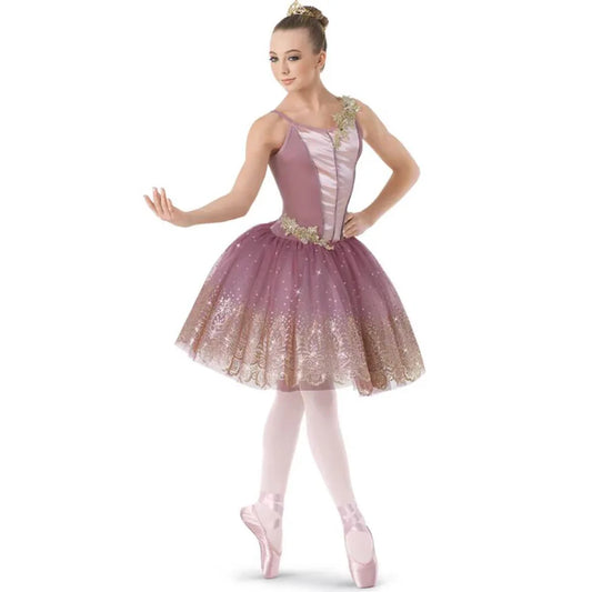 Professional Girl And Women Light Purple Ballet Dance Long Dresses, Velvet Tops And Hot Stamping Embroidered Lace Skirt