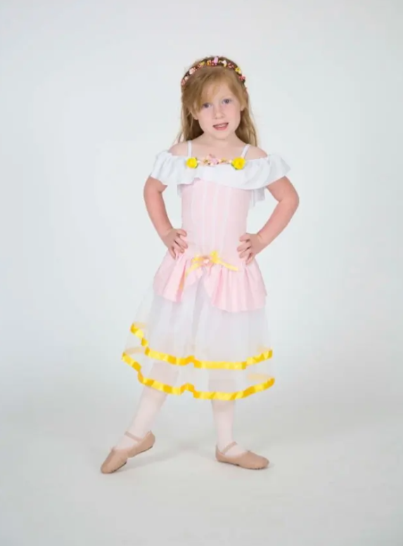 Custom Made Children Pink Green Or White Ballet Dress,Romantic Ballet Tutu Performance Dance Costumes Princess Dress Wholesale