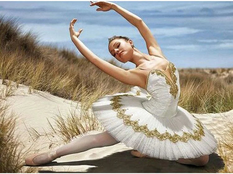 Customized White Swan Ballet Tutu Dresses,Stunning White & Gold Prefessional Stage Costume Ballet Tutu Competition