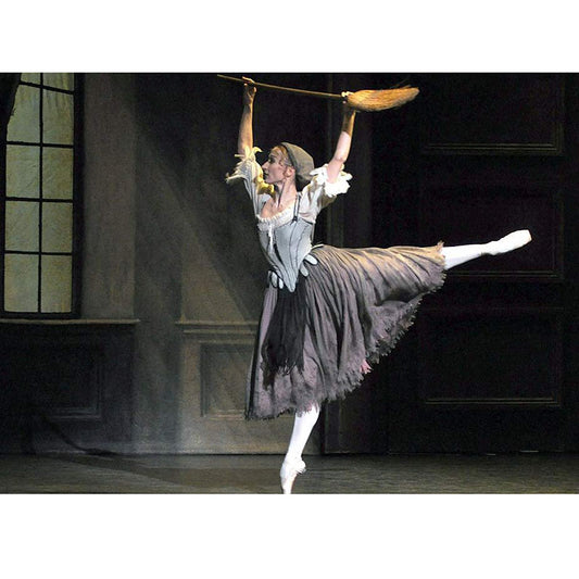 Professional Cinderella Ballet Costume Custom Made,The Iconic Peasant Gown with Grey Brown Tulle Skirt