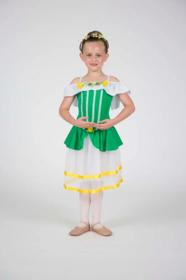 Custom Made Children Pink Green Or White Ballet Dress,Romantic Ballet Tutu Performance Dance Costumes Princess Dress Wholesale